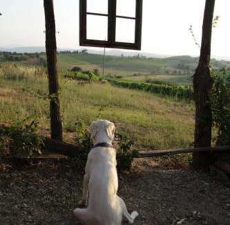 Ferretto House | Discover Agriturismo La Terra: Pet-Friendly Oceanfront Retreat