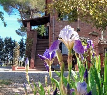 Ferretto House | Discover Agriturismo La Terra: Pet-Friendly Oceanfront Retreat
