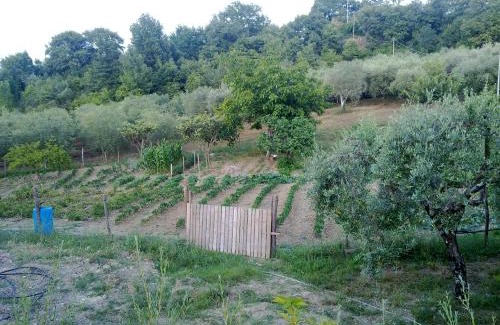 Felitto House | Cozy Agriturismo le Cammarose: Pet-Friendly Retreat