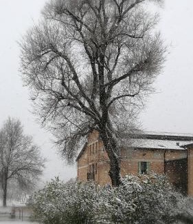 Fogliano Redipuglia Bed & Breakfast | Pet-Friendly Agriturismo Le Giarine with Breakfast & Access