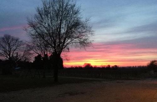 Fogliano Redipuglia Bed & Breakfast | Pet-Friendly Agriturismo Le Giarine with Breakfast & Access