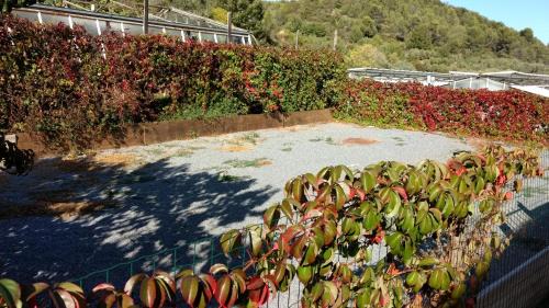 Villanova d'Albenga House | Pet-Friendly Agriturismo Le Collinette with Family Amenities