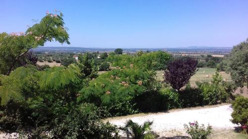 Viterbo Bed & Breakfast | Scenic Stays at Agriturismo Le Quattro Stagioni