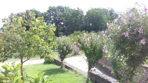 Viterbo Bed & Breakfast | Scenic Stays at Agriturismo Le Quattro Stagioni