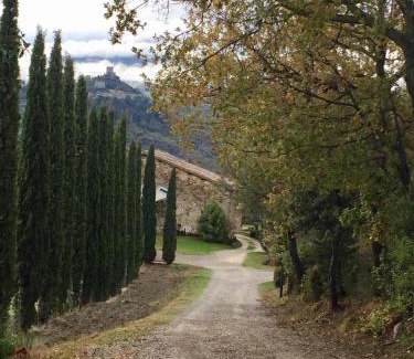 San Quirico d'Orcia Apartment | Experience Agriturismo Le Querciole in Beautiful Val d'Orcia