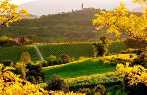 Conegliano Apartment | Cozy Agriturismo Le Spezie with Ocean View & Family Options