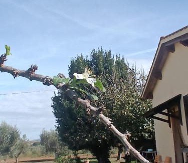 Grosseto House | Pet-Friendly Agriturismo Le Villette di Cate with Ocean Views
