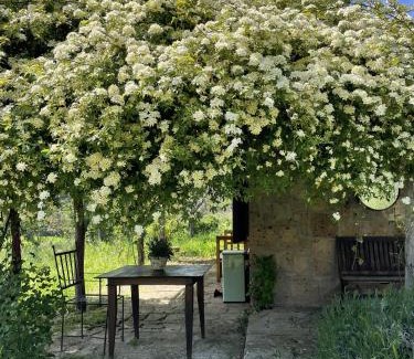 Lubriano House | Relax at Agriturismo Locanda Settimo Cielo with Ocean Views