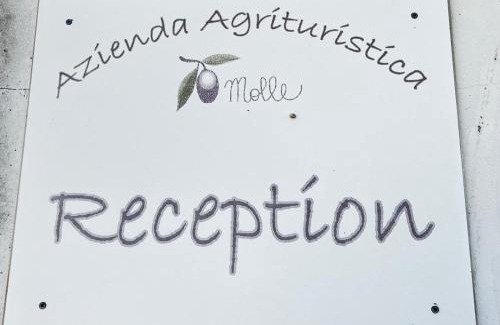 Carpignano Salentino House | Discover Agriturismo Molle: Child-Friendly & Accessible Stay