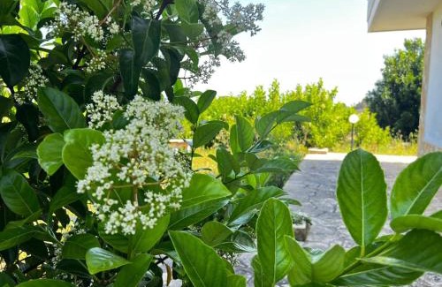 Carpignano Salentino House | Discover Agriturismo Molle: Child-Friendly & Accessible Stay