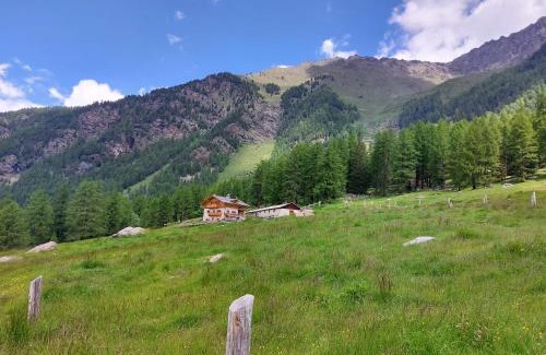 Pejo House | Guest Rated 9.9: Agriturismo Malga Pontevecchio Getaway
