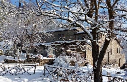 Monteluiano House | Experience Agriturismo Montesalce: Pet-Friendly Retreat