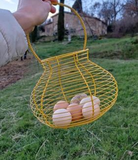 Monteluiano House | Experience Agriturismo Montesalce: Pet-Friendly Retreat