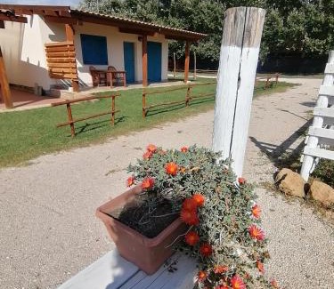 Ardea House | Idyllic Agriturismo Oca Giuliva with Pool and Ocean Views