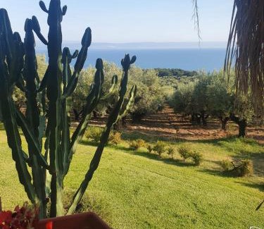 Gizzeria House | Oceanfront Agriturismo Parco degli Ulivi with Breakfast