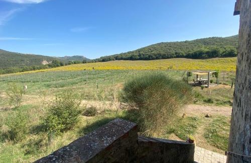 Castiglione d'Orcia House | Cozy Agriturismo Pian Di Meta Vecchia with Ocean Views