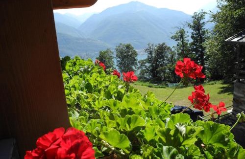 Pianello del Lario Apartment | Pet-Friendly Agriturismo Piccolo Paradiso with Ocean Views