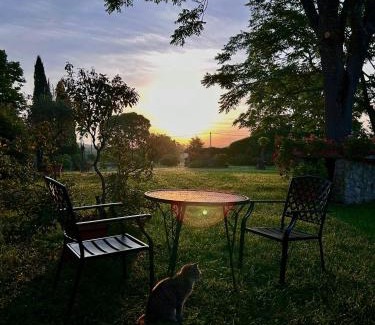Amelia House | Agriturismo Podere Luchiano