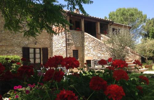 Amelia House | Agriturismo Podere Luchiano
