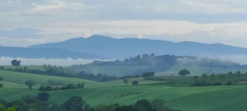 Scansano House | Pet-Friendly Agriturismo Podere Verdicchio with High Ratings