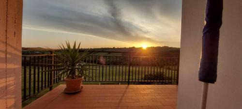 Scansano House | Pet-Friendly Agriturismo Podere Verdicchio with High Ratings