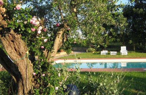 Cinigiano House | Relax at Agriturismo Poderino with Oceanfront Views