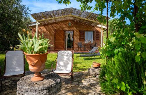 Castiglione del Lago House | Tranquil Agriturismo Poggio Antico with Ocean Views