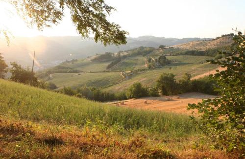 Modigliana Apartment | Pet-Friendly Agriturismo Re Piano with Pool & Hot Tub