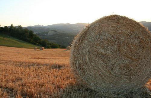 Modigliana Apartment | Pet-Friendly Agriturismo Re Piano with Pool & Hot Tub