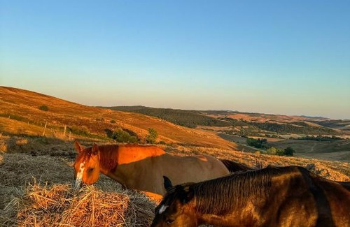 Tuscania House | Discover Agriturismo Re Tarquinio: 10/10 Guest Rated Retreat