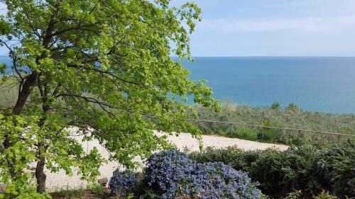 Vallevo House | Oceanfront Retreat at Agriturismo Rifugiomare: Rated 9.4