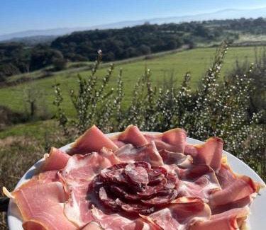 Tula House | Discover Agriturismo Sa Pigalva: Pet-Friendly Retreat