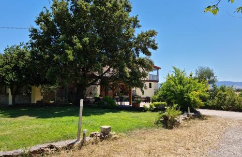 Tula House | Discover Agriturismo Sa Pigalva: Pet-Friendly Retreat