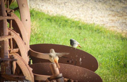 Tarquinia House | Top-Rated Agriturismo San Matteo with Hot Tub & Dining