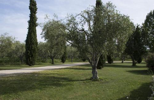 Sutri Apartment | Experience Agriturismo Scuderie della Contea - 10/10 Rated!