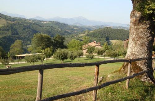 Monteluiano House | Idyllic Oceanfront Farm Stay Agriturismo Semidimela