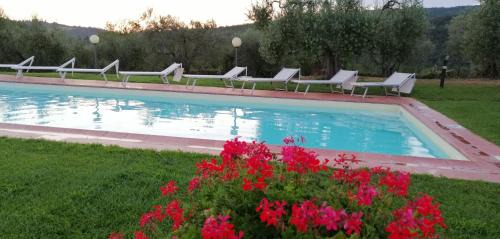 Greve in Chianti House | Experience Agriturismo Sommassa: Oceanfront Retreat with Pool