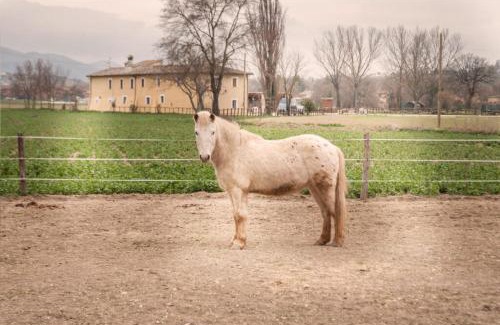 Protte House | Discover Agriturismo Stovali Da Lustrinu: Guest Rated 9/10