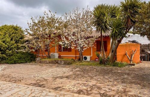 Sagama House | Agriturismo Su Nuratolu