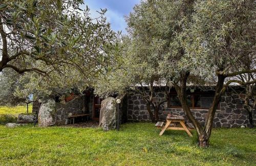 Sagama House | Agriturismo Su Nuratolu