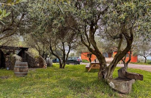 Sagama House | Agriturismo Su Nuratolu