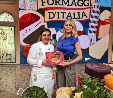 Campodipietra House | Experience Agriturismo Terra e Sapori: 10/10 Rated Getaway