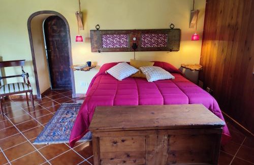 Bagnoregio House | Discover Agriturismo Val di Coreto: Family-Friendly Retreat