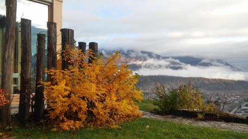 Calceranica al Lago House | Top-Rated Agriturismo Verdecrudo with Oceanfront Views