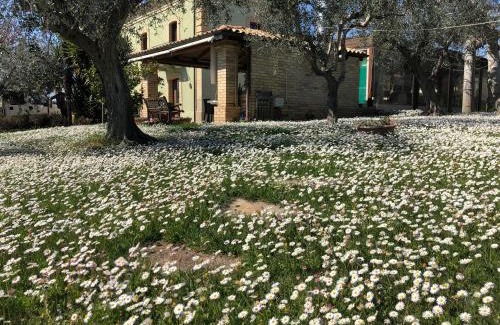Vetiche I House | Relaxing Agriturismo Villa Vetiche with Fantastic Amenities