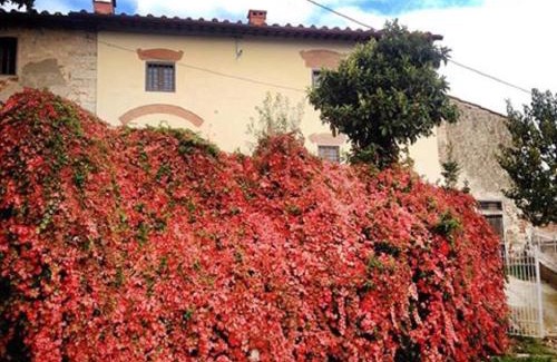 Bagno a Ripoli House | Pet-Friendly Agriturismo Villa Dauphiné with Ocean Views