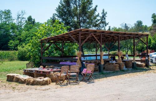 Marano Ticino House | Pet-Friendly Agriturismo Why Farm with Top Guest Rating 9.3
