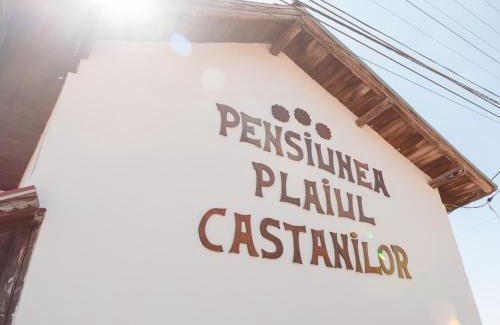 Tismana House | Pet-Friendly Agro-pensiunea "Plaiul Castanilor" with Pool