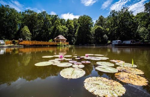 Gryfow Slaski House | Agromurena: Pet-Friendly Retreat with Ocean Views