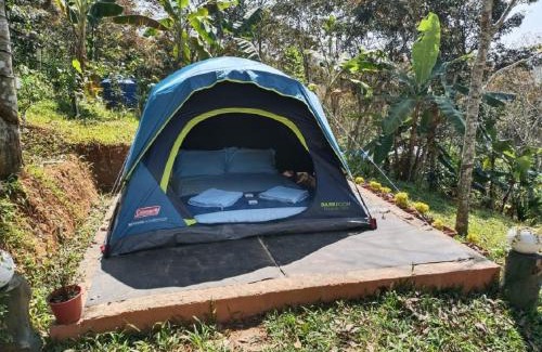 Sulthan Bathery House | Relaxing Agronest Farm & Resort: Family-Friendly Getaway